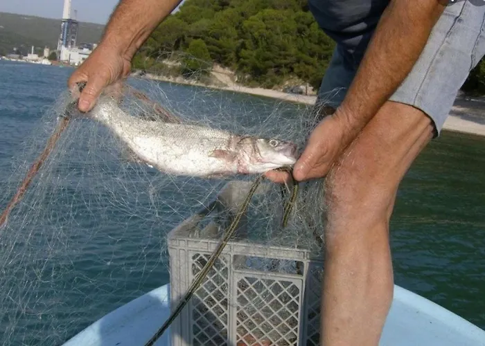 Bernik Gostinjska kuća *